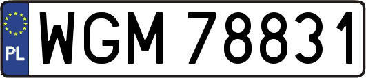 WGM78831