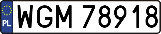 WGM78918