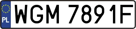 WGM7891F