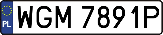 WGM7891P