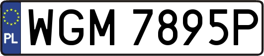 WGM7895P