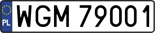 WGM79001