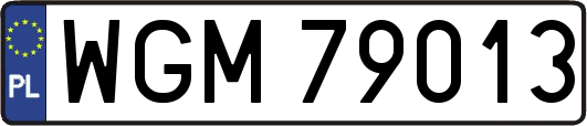 WGM79013