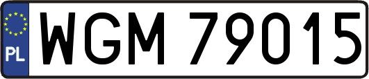 WGM79015