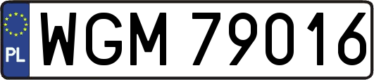 WGM79016