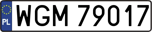 WGM79017