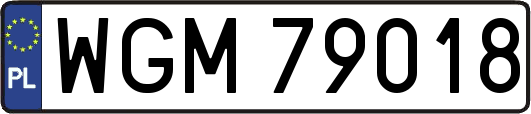 WGM79018