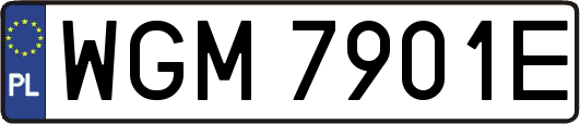 WGM7901E