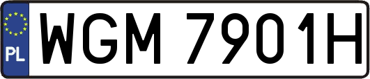 WGM7901H