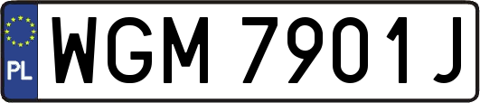 WGM7901J