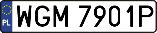 WGM7901P