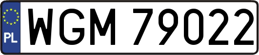 WGM79022