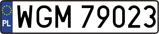 WGM79023