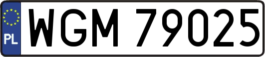 WGM79025