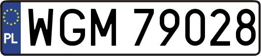 WGM79028