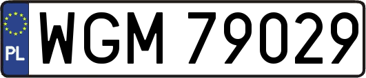 WGM79029