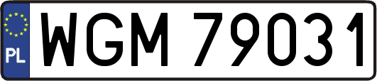 WGM79031