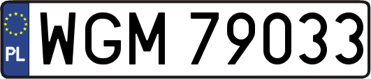 WGM79033