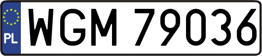 WGM79036