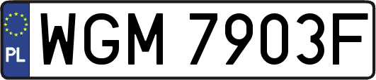 WGM7903F