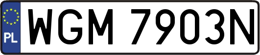 WGM7903N
