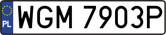 WGM7903P