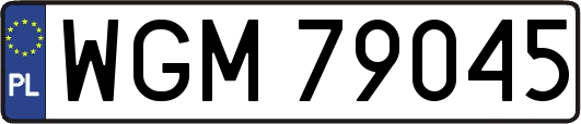 WGM79045