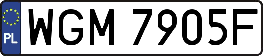 WGM7905F