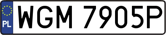 WGM7905P