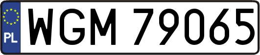WGM79065