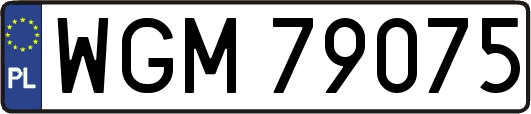 WGM79075