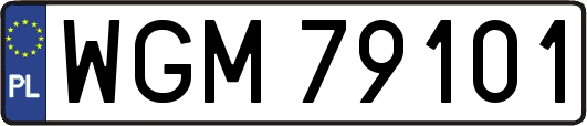 WGM79101