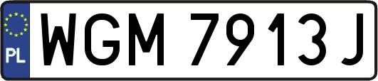 WGM7913J