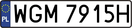WGM7915H