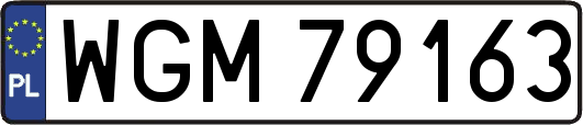 WGM79163