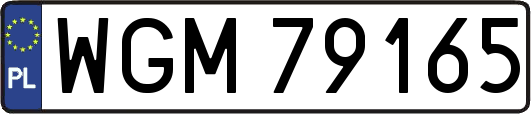 WGM79165