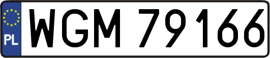 WGM79166