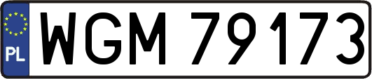 WGM79173