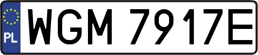 WGM7917E