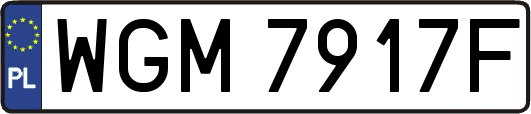 WGM7917F