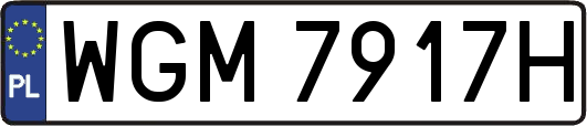 WGM7917H