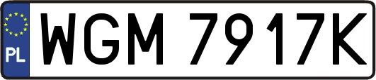 WGM7917K