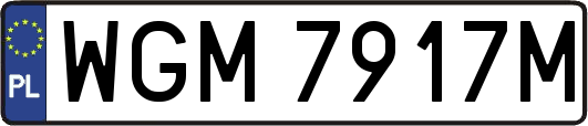 WGM7917M