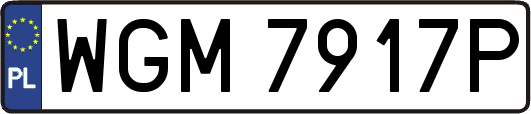 WGM7917P
