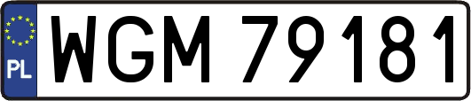 WGM79181
