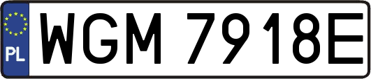 WGM7918E