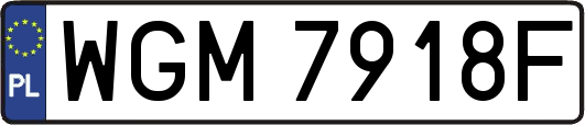 WGM7918F