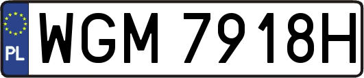 WGM7918H