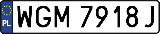 WGM7918J