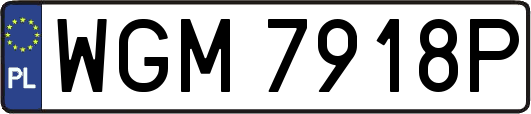 WGM7918P